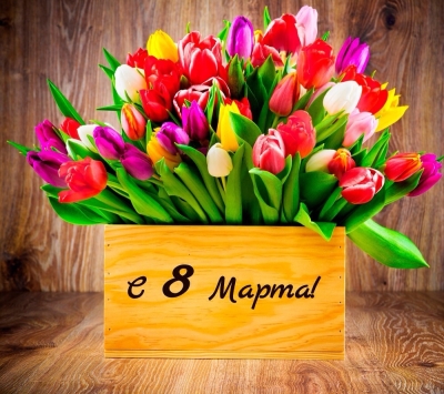 8 марта! международный женский день.